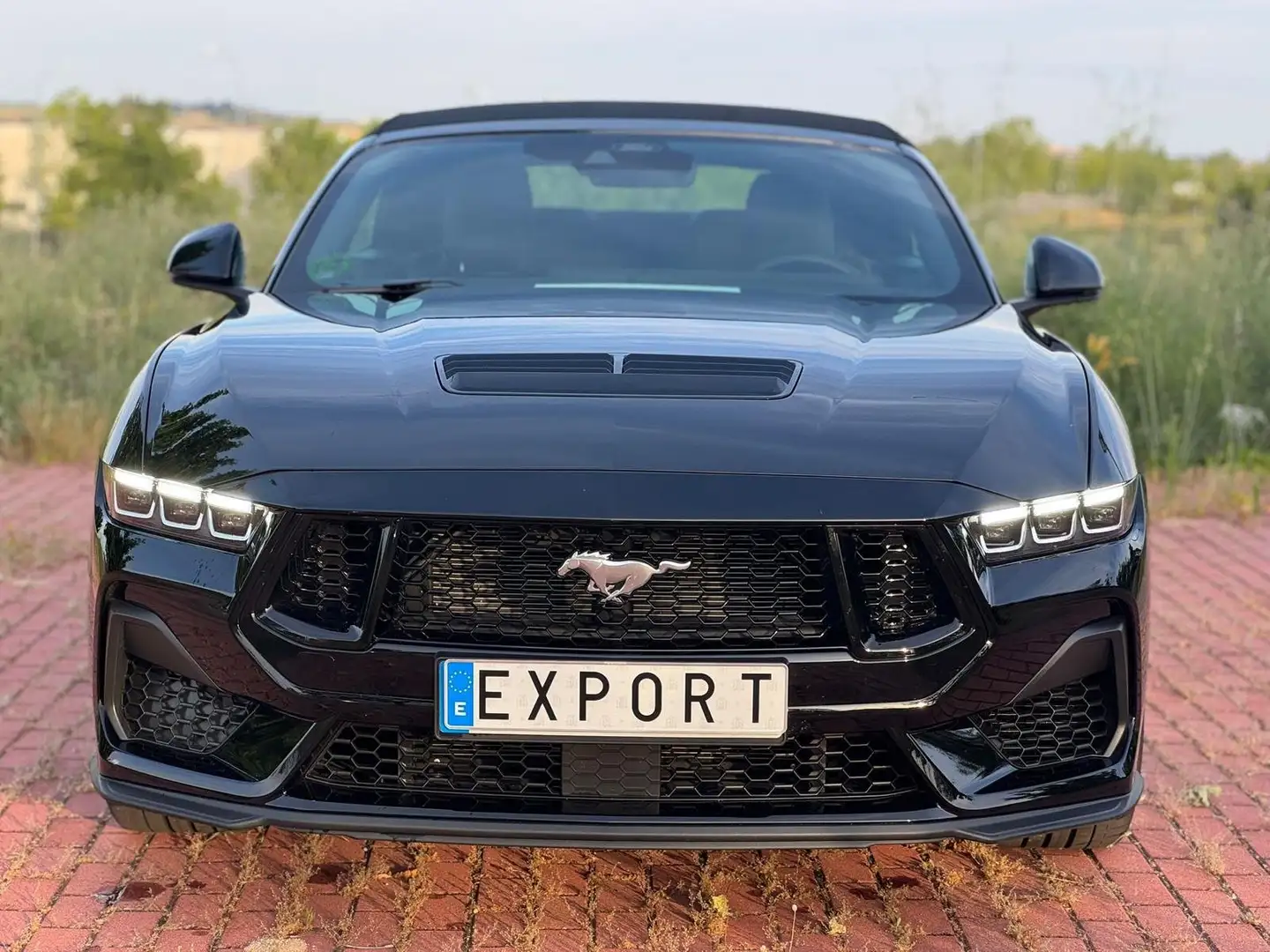 Ford Mustang Mustang Convertible 5.0 Ti-VCT GT Aut. GT Negro - 1