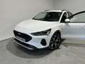 Ford Focus 1.0 Ecoboost MHEV Active X 125 Weiß - thumbnail 3