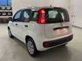 Fiat Panda 1.2 Pop 69cv 5 porte Neopatentati Weiß - thumbnail 7