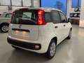 Fiat Panda 1.2 Pop 69cv 5 porte Neopatentati Weiß - thumbnail 9