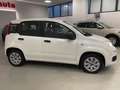 Fiat Panda 1.2 Pop 69cv 5 porte Neopatentati Weiß - thumbnail 6