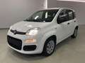 Fiat Panda 1.2 Pop 69cv 5 porte Neopatentati Weiß - thumbnail 2