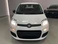 Fiat Panda 1.2 Pop 69cv 5 porte Neopatentati Weiß - thumbnail 3