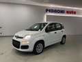 Fiat Panda 1.2 Pop 69cv 5 porte Neopatentati Weiß - thumbnail 1