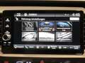 Honda Jazz 1.5 HYBRID Executive Navi Scheckheft TOP Rouge - thumbnail 18