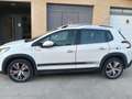 Peugeot 2008 1.6 BlueHDI Allure 100 Blanco - thumbnail 8