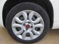 Fiat New Panda 0.9 Twin Air Natural Power METANO Bianco - thumbnail 15