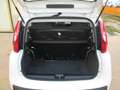 Fiat New Panda 0.9 Twin Air Natural Power METANO Bianco - thumbnail 10