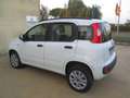 Fiat New Panda 0.9 Twin Air Natural Power METANO Bianco - thumbnail 5