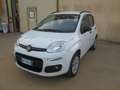 Fiat New Panda 0.9 Twin Air Natural Power METANO Bianco - thumbnail 3
