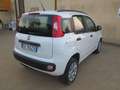 Fiat New Panda 0.9 Twin Air Natural Power METANO Bianco - thumbnail 6