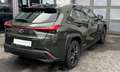 Lexus UX 250h Executive Navigation 2WD zelena - thumbnail 3