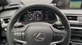 Lexus UX 250h Executive Navigation 2WD Zelená - thumbnail 7