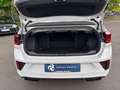 Volkswagen T-Roc Cabriolet 1.5TSI DSG R-Line Karmann 1/999 Grau - thumbnail 9