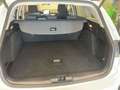 Ford Focus SW SW 1.0 EcoBoost 125 Titanium BVA8 Blanc - thumbnail 9