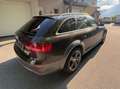 Audi A4 allroad A4 allroad 2,0 TDI quattro DPF Braun - thumbnail 8