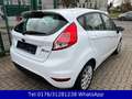Ford Fiesta Trend 1.3 !! Tüv-Neu !! 42TKM !! Weiß - thumbnail 5