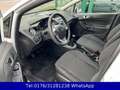 Ford Fiesta Trend 1.3 !! Tüv-Neu !! 42TKM !! Weiß - thumbnail 12