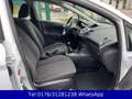 Ford Fiesta Trend 1.3 !! Tüv-Neu !! 42TKM !! Weiß - thumbnail 13