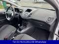 Ford Fiesta Trend 1.3 !! Tüv-Neu !! 42TKM !! Weiß - thumbnail 11