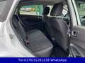 Ford Fiesta Trend 1.3 !! Tüv-Neu !! 42TKM !! Weiß - thumbnail 14