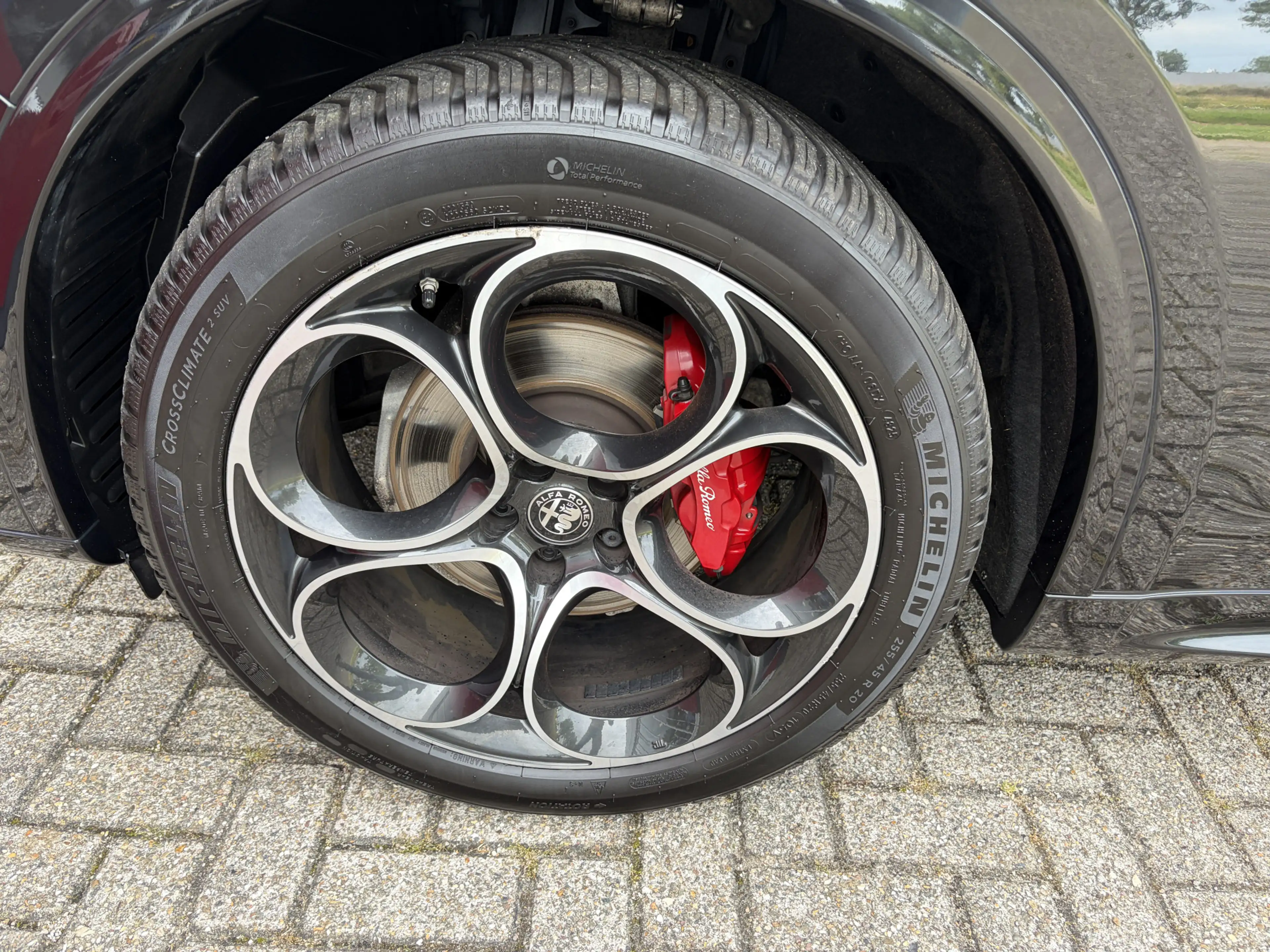 Alfa Romeo Stelvio 2.0 T AWD Veloce | Harman-Kardon | Camera | trekha — photo 14