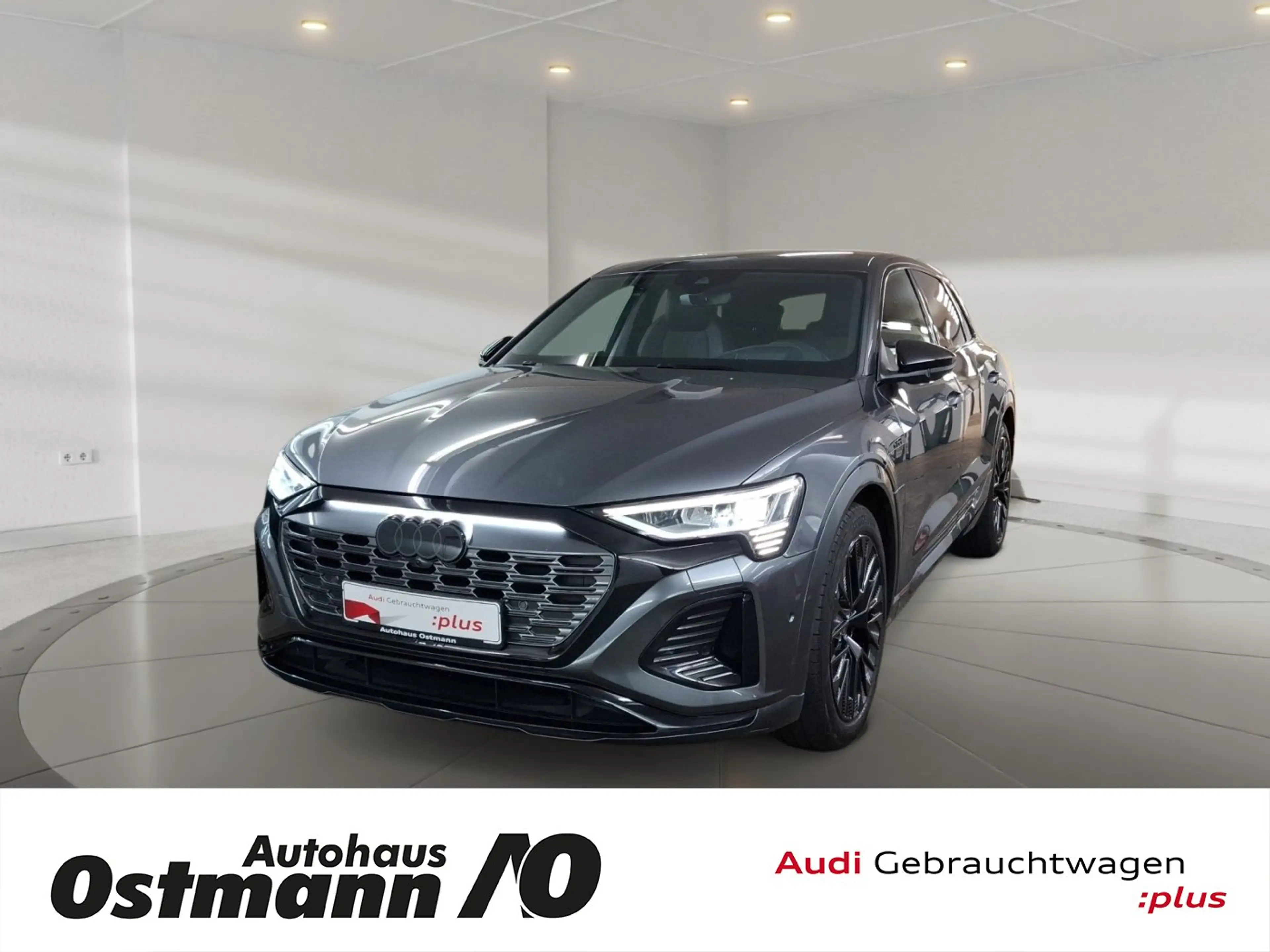 Audi Q8 e-tron 55 quattro S line S-Line HUD Matrix