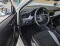 Skoda Kamiq 1.0 TSI Tour Kessy RüKa Smart Link Sitzh. Weiß - thumbnail 10