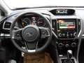 Subaru XV XV 2,0i e-Boxer Aut. Premium Allrad Weiß - thumbnail 11