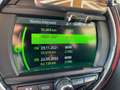 MINI Cooper 1.5 Hype LED 136cv Automatica UNIPRO Tagliandi BMW Zwart - thumbnail 26