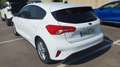 Ford Focus 1.0 Ecoboost MHEV Trend+ 125 Blanco - thumbnail 2