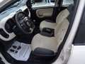 Fiat Panda Panda 1.2 Easy Beige - thumbnail 10