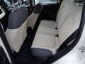 Fiat Panda Panda 1.2 Easy Beige - thumbnail 14