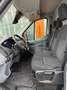 Ford Transit FT 310 L2 Van Ambiente 130 Wit - thumbnail 5