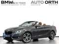 BMW 230 i Cabrio AUT. SPORT-LINE LEDER NAVI-PROF KAM Grey - thumbnail 1
