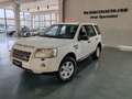 Land Rover Freelander 2.2 td4 S 4X4 GANCIO TRAINO Bianco - thumbnail 1