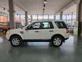 Land Rover Freelander 2.2 td4 S 4X4 GANCIO TRAINO Bianco - thumbnail 3