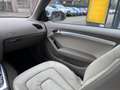 Audi A5 Cabriolet 1.8 TFSI Pro Line CLIMA / CRUISE / AUTO Beige - thumbnail 16