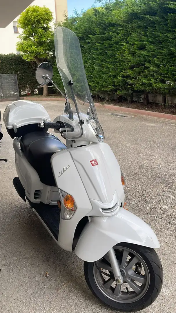 Kymco Like 50 Confort Weiß - 1