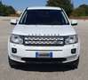 Land Rover Freelander 2.2 sd4 HSE 190cv auto - thumbnail 1