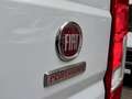 Fiat Ducato 2.2 D L1H1 AUTOMATIK AHK SORTIMO REGALE Gris - thumbnail 16