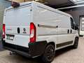 Fiat Ducato 2.2 D L1H1 AUTOMATIK AHK SORTIMO REGALE Gris - thumbnail 15