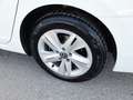 Volkswagen Golf Variant Golf VIII Variant LIFE 2,0 TDI DSG *VIRTUELL PR... Weiß - thumbnail 14