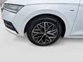 Skoda Octavia Combi 2.0TDI DSG Clever LED Navi AHK APP Белый - thumbnail 5