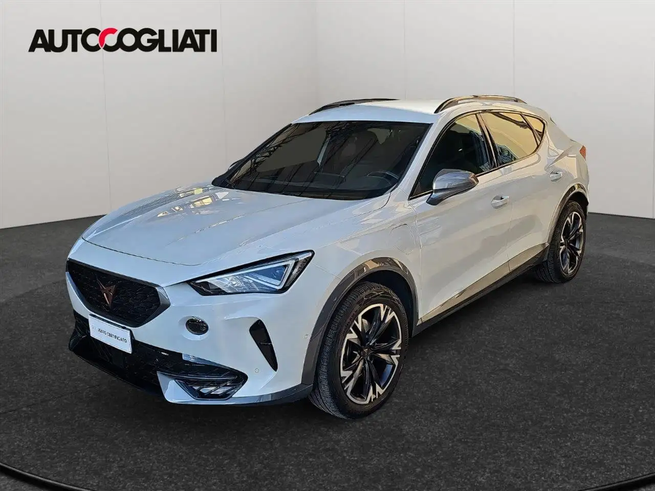 CUPRA Formentor Formentor 1.4 e-hybrid 204cv dsg — photo 1 of 15