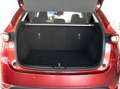 Mazda CX-5 Ad'vantage AWD/LED/SITZHZ/NAVI/AUTOM/KAMERA Rot - thumbnail 8