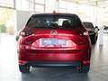 Mazda CX-5 Ad'vantage AWD/LED/SITZHZ/NAVI/AUTOM/KAMERA Rot - thumbnail 5