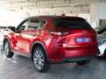 Mazda CX-5 Ad'vantage AWD/LED/SITZHZ/NAVI/AUTOM/KAMERA Rot - thumbnail 4