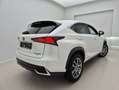 Lexus NX 300h 2.5i AWD Executive Line E-CVT (EU6.2) Blanc - thumbnail 7