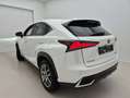 Lexus NX 300h 2.5i AWD Executive Line E-CVT (EU6.2) Blanc - thumbnail 8